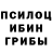 Галлюциногенные грибы прущие грибы Nikolas Hanter
